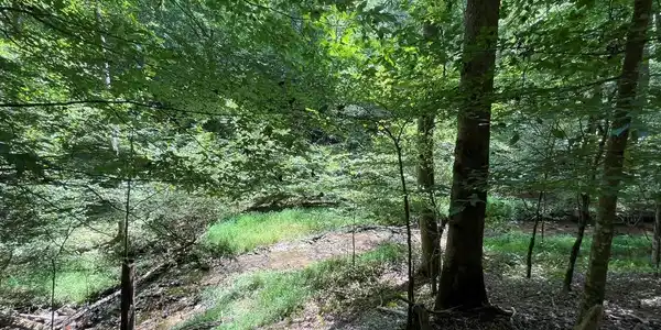 Lot 223 Bowline Drive