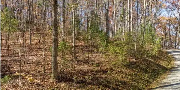 Image 3: Additional View