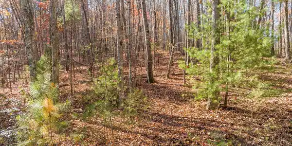 Image 4: Additional View