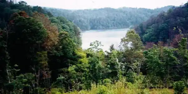 Lot 7 Foot Hill Estates