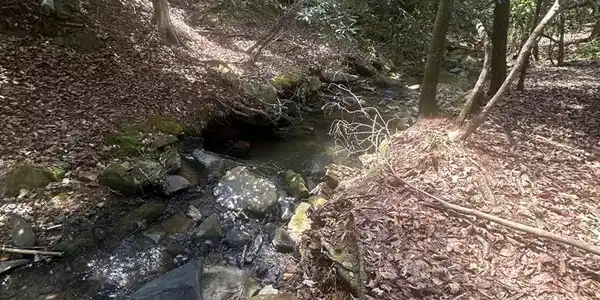 6.56acre Liberty Hill Road