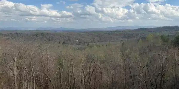 LT40 Lookout Drive