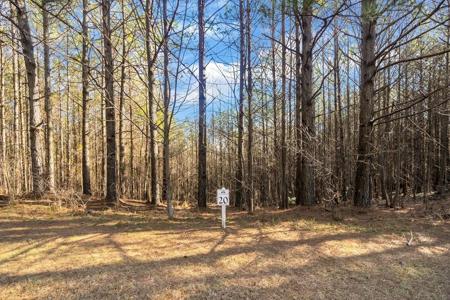 Foxpaw Leaf Lane