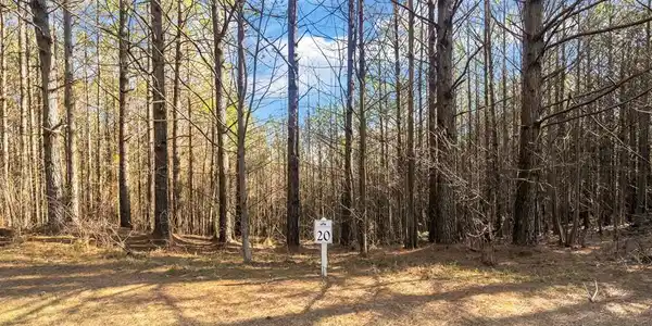 Foxpaw Leaf Lane