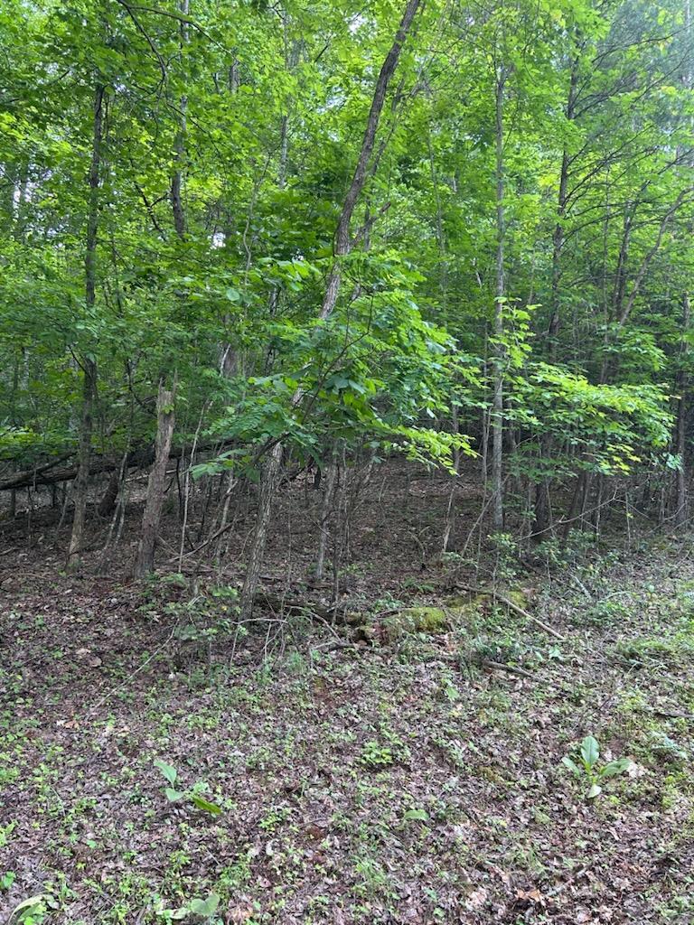 Image 1: Main View