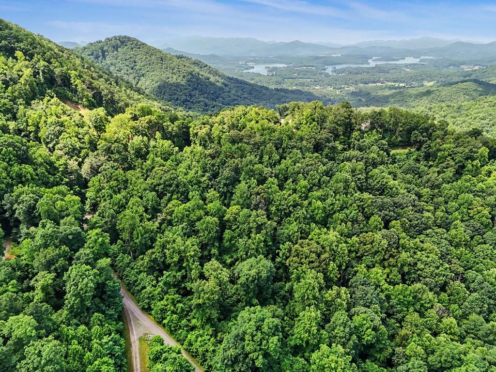 Image 3: Aerial of Lot 2