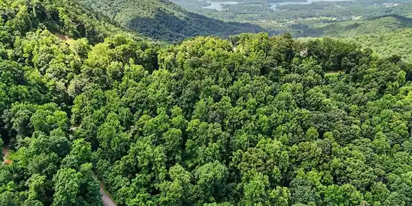 Image 3: Aerial of Lot 2