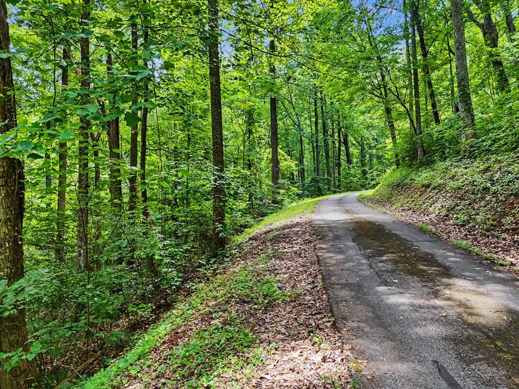 Image 4: Road alongside of Lot 2