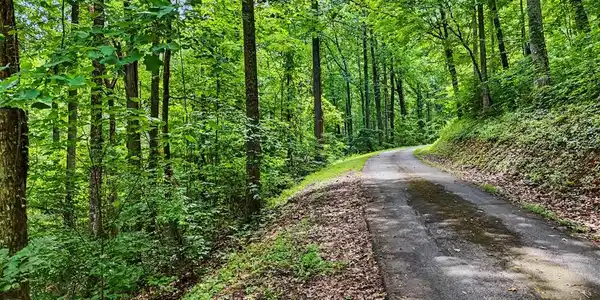 Image 4: Road alongside of Lot 2