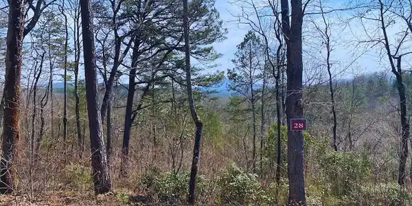 Lot 28 Brasstown Trails