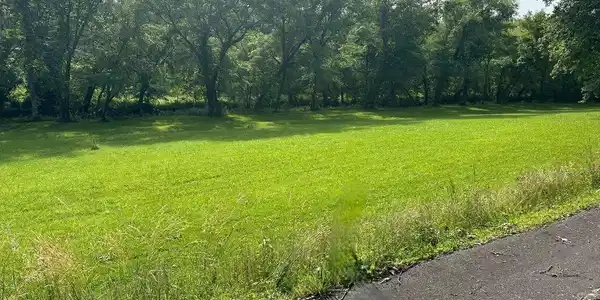 Lot 50 Brasstown Trails