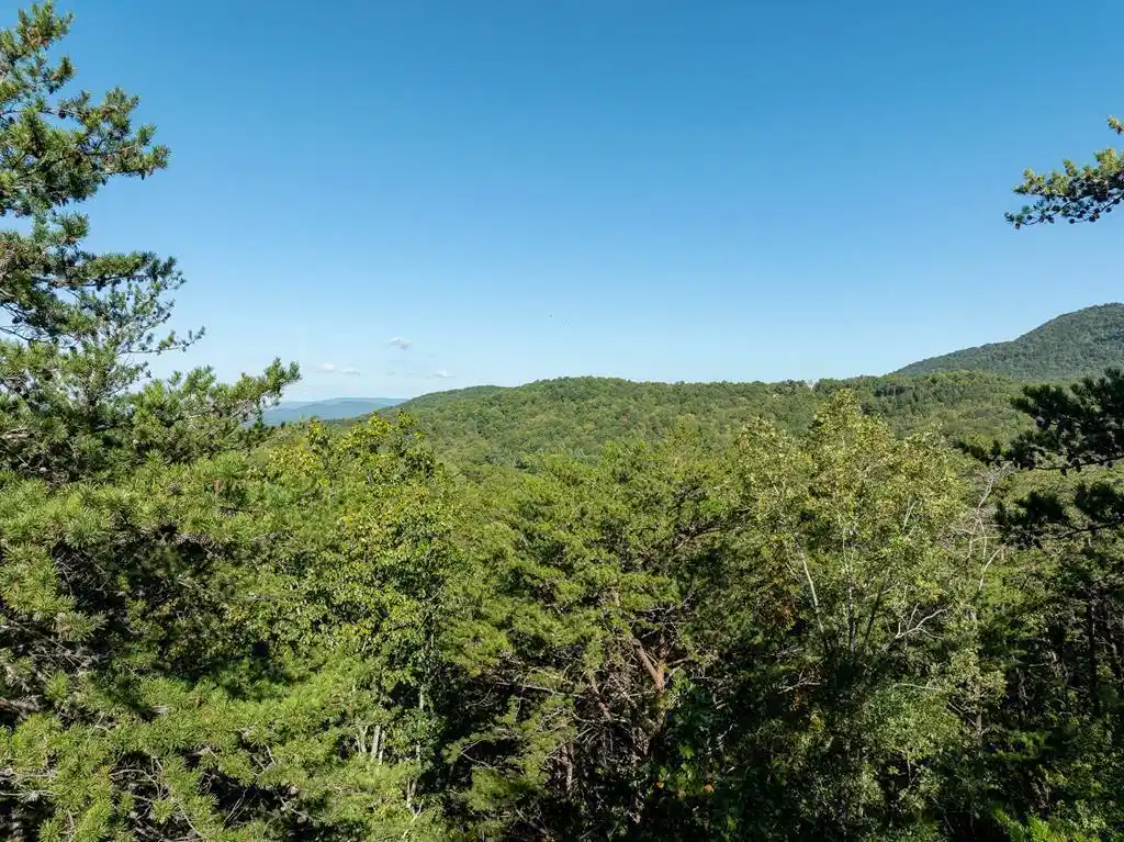 Image 1: Main View