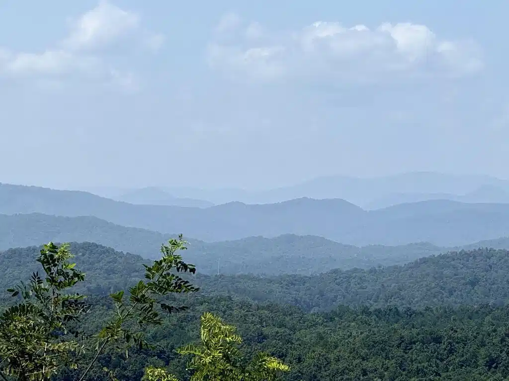 Image 1: Main View