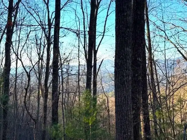 Image 1: Main View