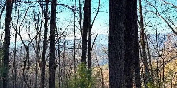 7.0 ac Laurel Drive
