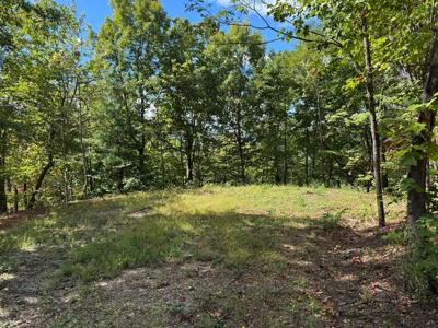 #6-2 Tree Top Drive