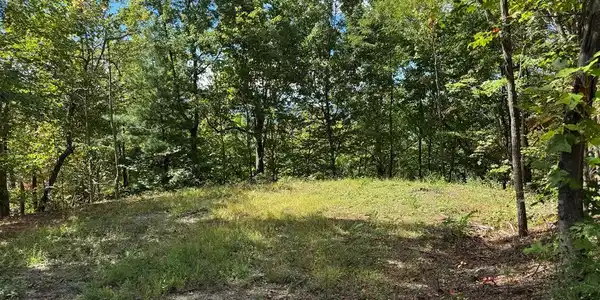 #6-2 Tree Top Drive