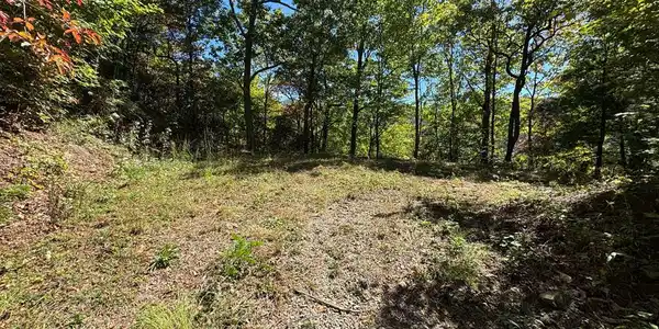 #9-2 Tree Top Drive