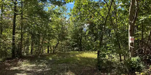 #10-2 Tree Top Drive