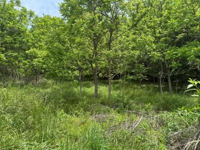 Lot 3 Still Meadows Court