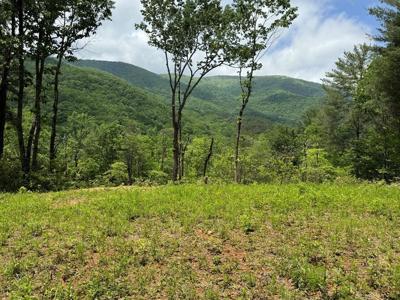 9.6 ac Ralston Creek Trail