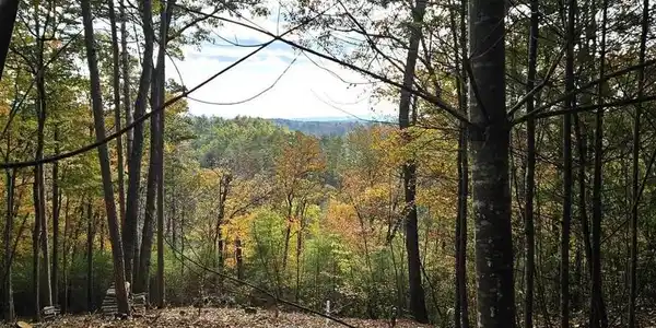 Lot 157 Roaring Forks Lane