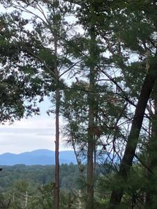 Lot 132 Red Oak Trail