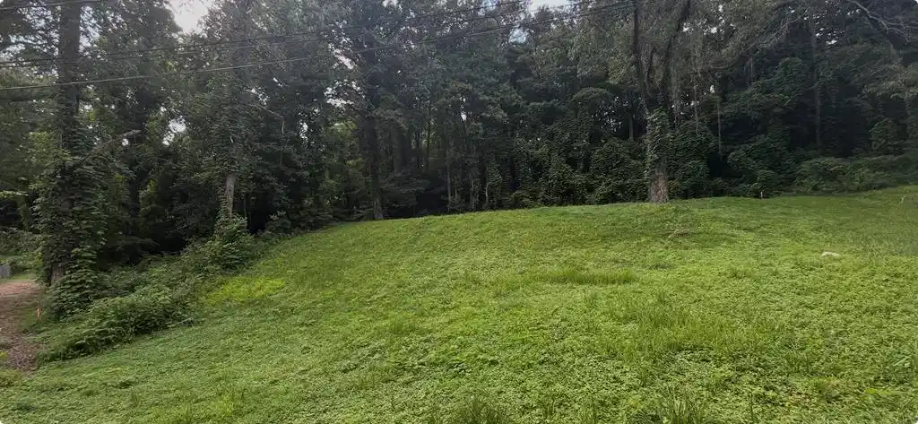 Image 1: Main View