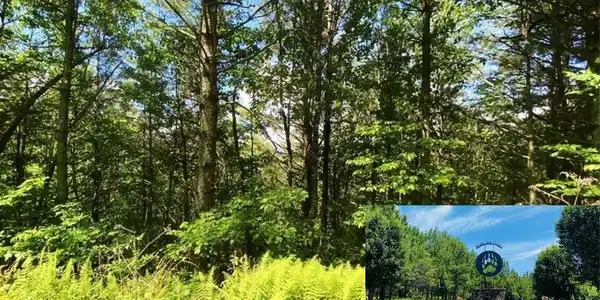Lot 97 Choctaw Ridge Trail
