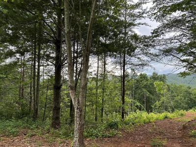 Tract 2 Stevens Ridge Road