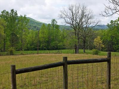 6.02 ac Ivy Log Gap Road