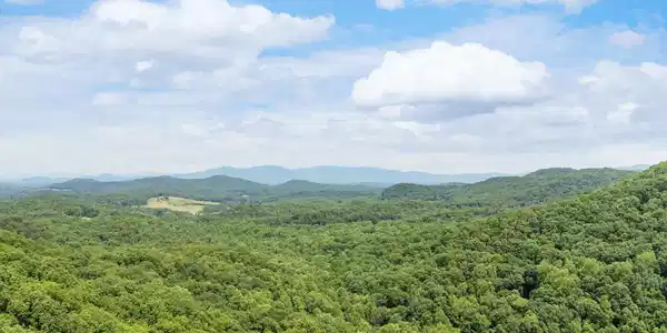 57.64 ac Mountain Ash Road