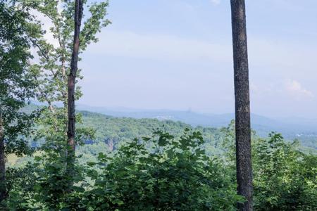 90 Winding Ridge