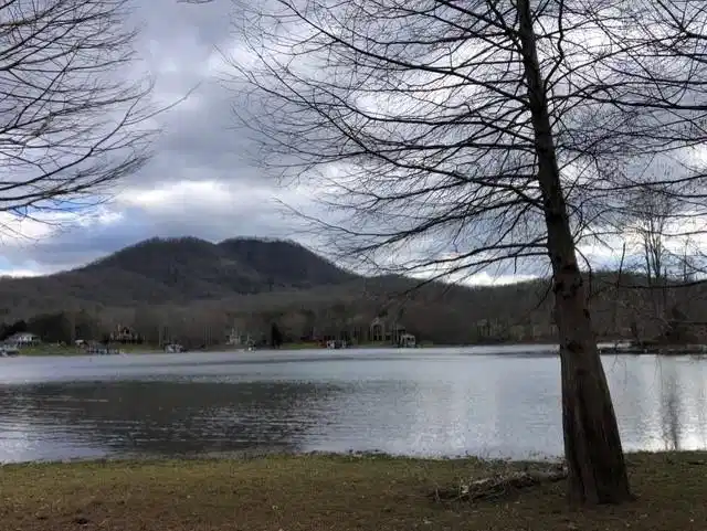 Image 1: Main View