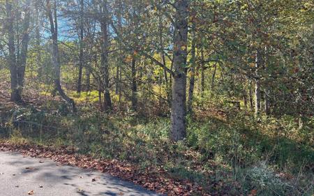 TR1&2 Holland Drive