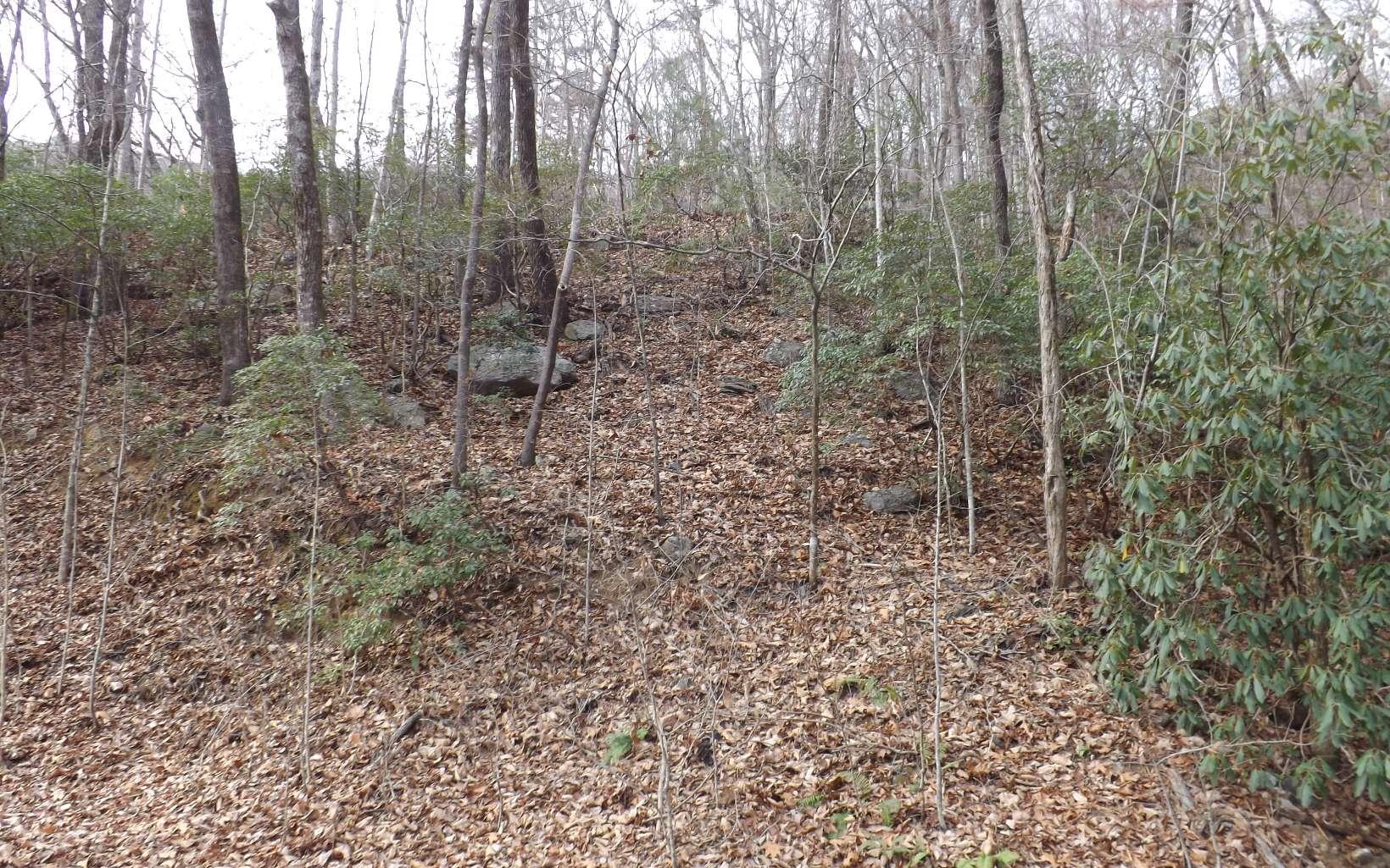 Image 2: Additional View