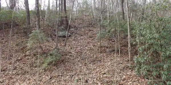 Image 2: Additional View