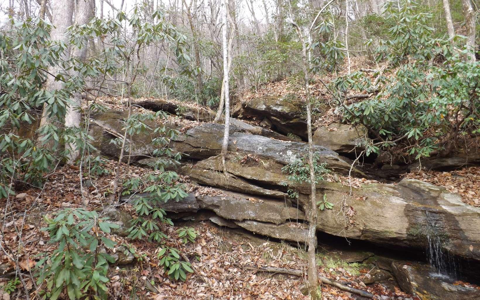 Image 3: Additional View