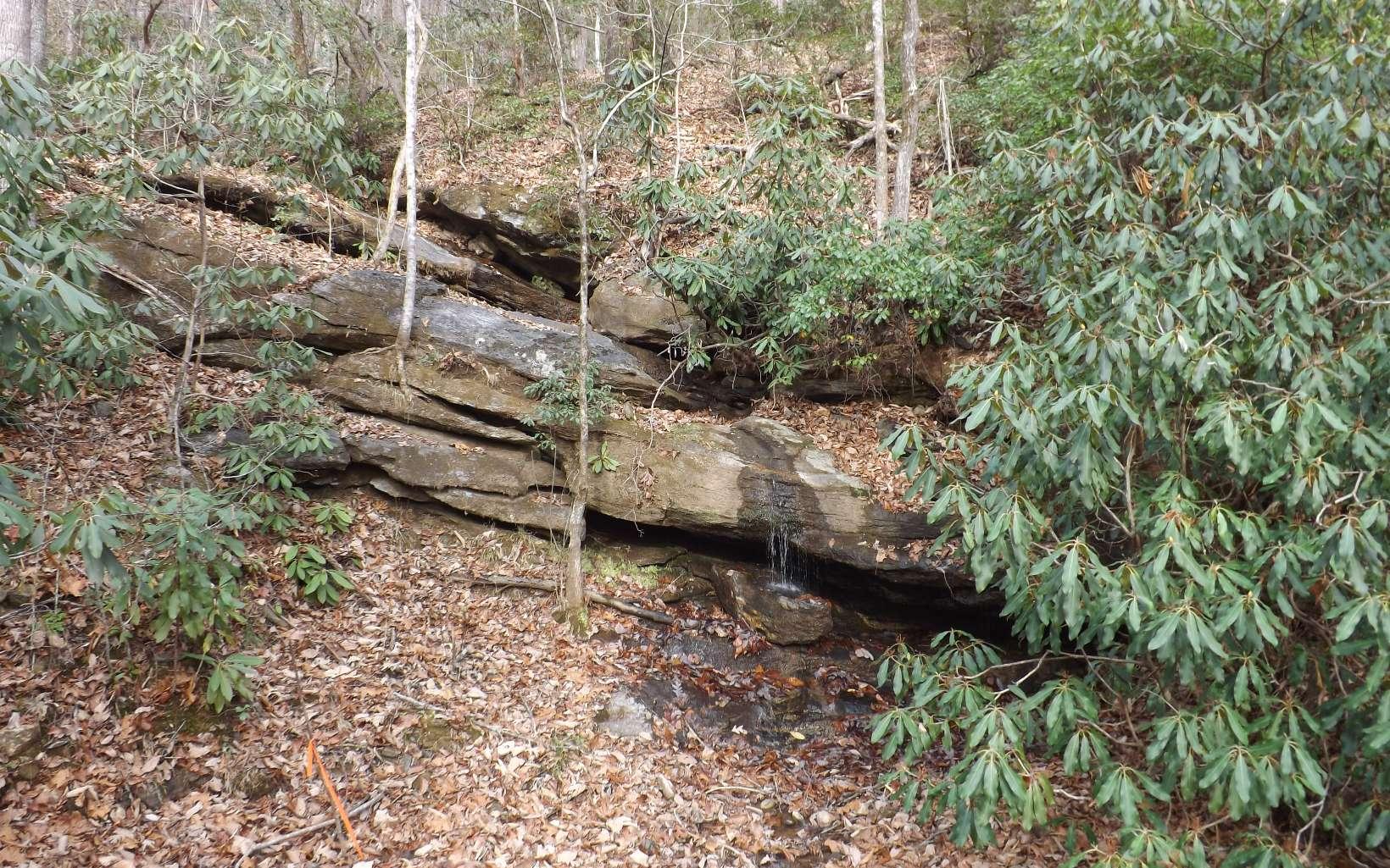 Image 4: Additional View