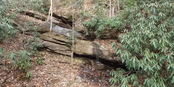 Image 4: Additional View