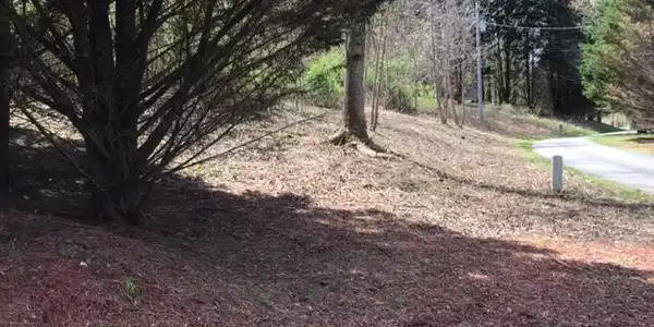 Lot 28 Sneaking Creek Drive