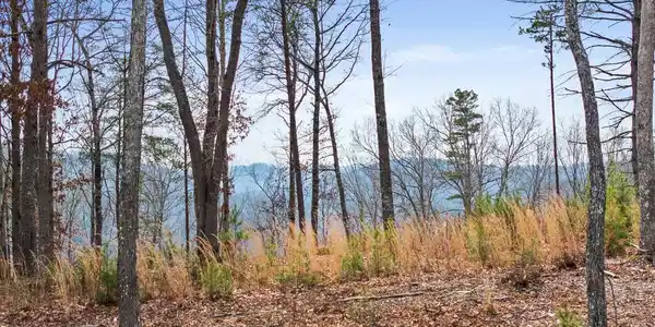 Lot 162 Ridge Drive