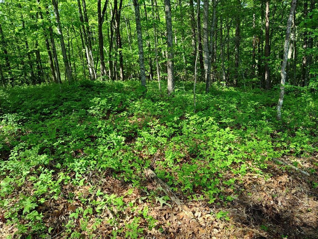 Image 2: Aerial View of Hemlock Ridge