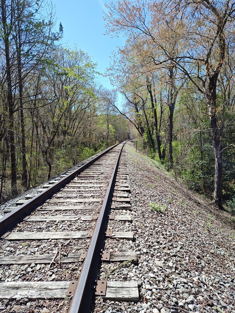 Image 3: Historic TN Valley Railroad