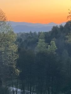 650 Hidden Hills Estates