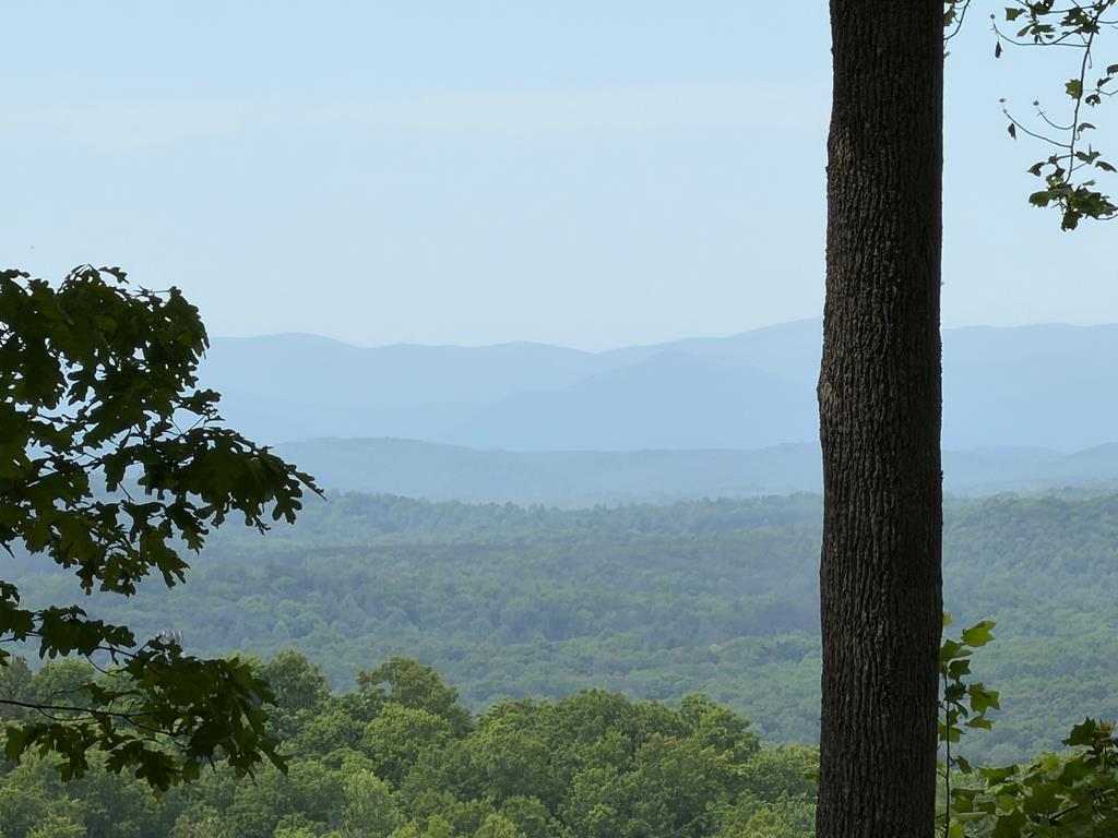 Image 1: Main View