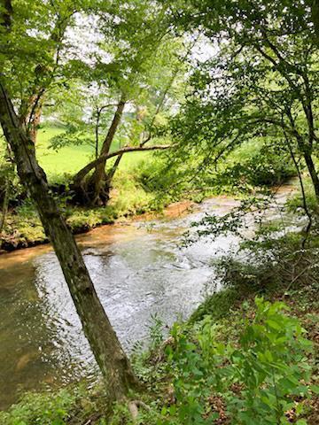 Image 2: 180 ft of Brasstown Creek frontage