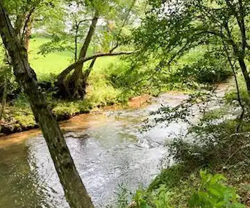 Image 2: 180 ft of Brasstown Creek frontage
