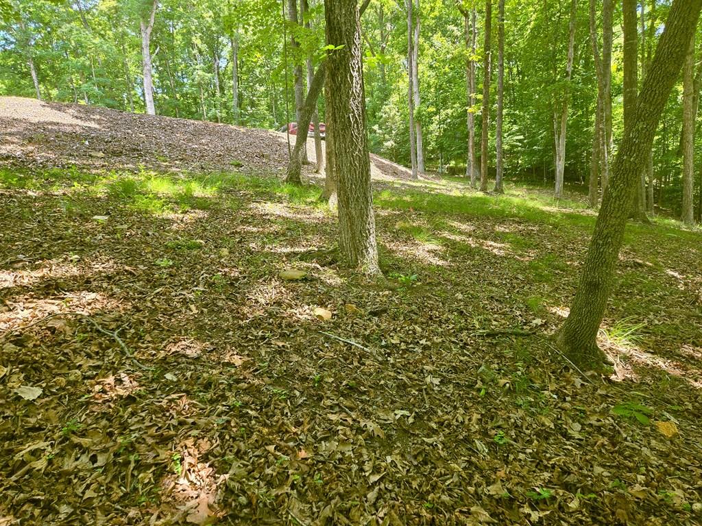 Image 3: Hillside behind home site