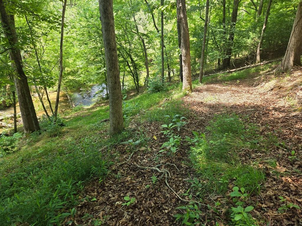 Image 4: Path to creek